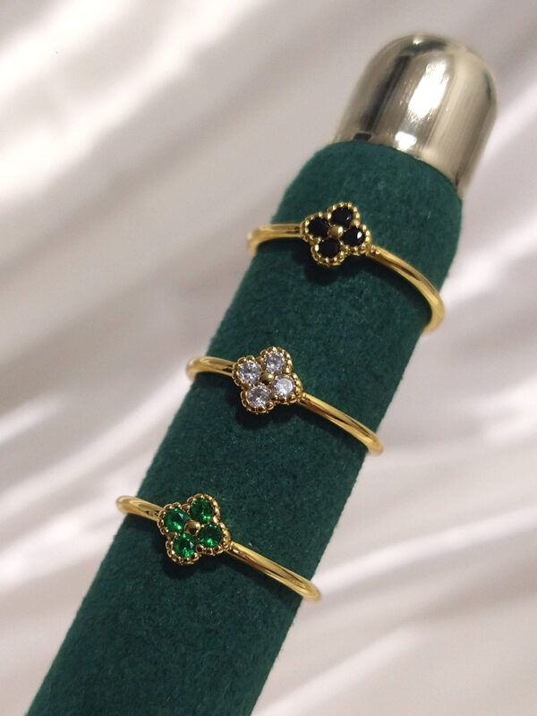 pellentesque oliteget pellentesque oliteget