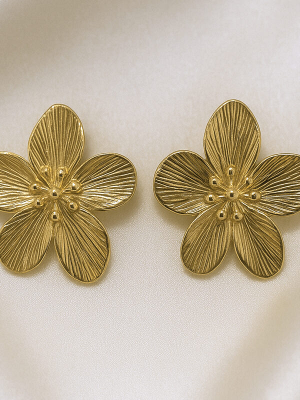 magna fringilla magna fringilla