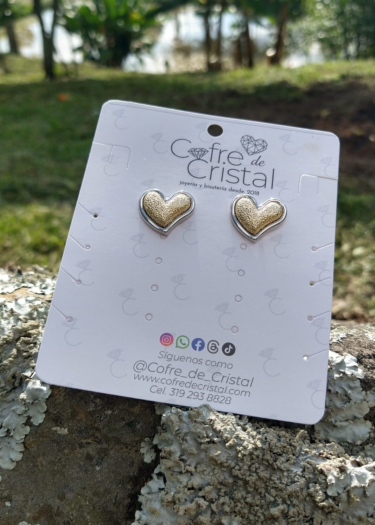 IMG 20241124 151749884 HDR Scaled E1736324457900